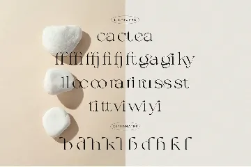 Calliga - Stylish Display Serif font