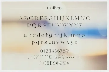 Calliga - Stylish Display Serif font