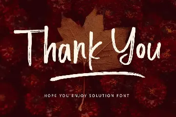 Solution Brush Font