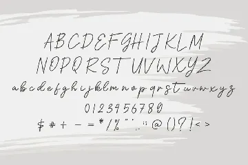 Hollesta Motasa Font