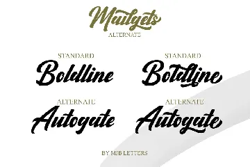 Mailgets font