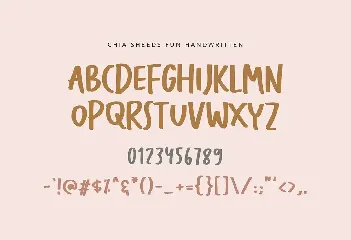 Chia Seeds Fun Handwritten Font