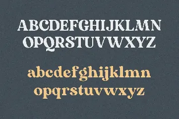 Mogena - Elegant Serif Font