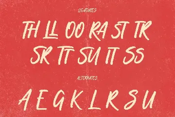 Heinbergs Handwritten Display Font