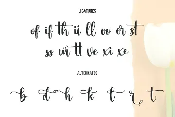 Marciato Script Font