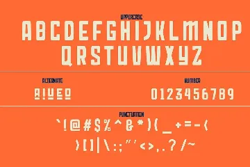 Folkafe - Display Font