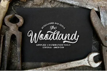 Courtland | Retro Font