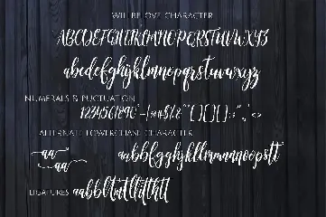 Willbelove Brush Script + Webfonts