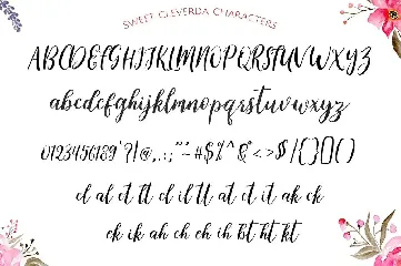 Cleverda Script + WebFonts