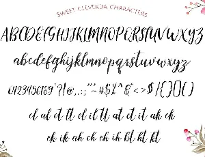 Cleverda Script + WebFonts