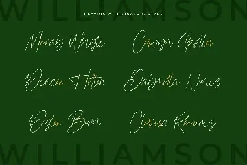 Williamson - Luxury Signature Font