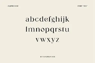 Skywalks Elegant Serif Font