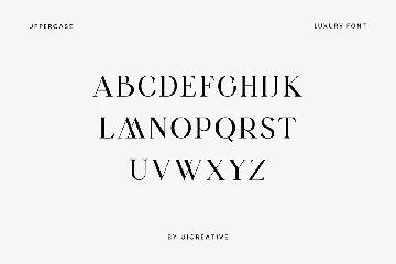 Skywalks Elegant Serif Font