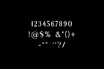 Skywalks Elegant Serif Font