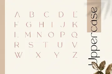 Rollgates Luxury font