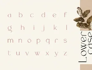 Rollgates Luxury font