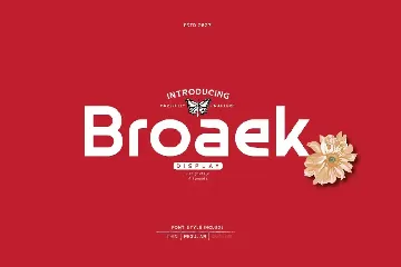 Broaek font