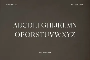 Vigosamine Luxury Serif Font