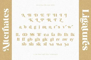 Rychard Walker | Modern Serif Font