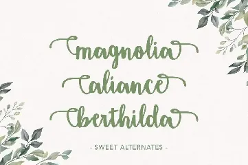 Amigueta Script font