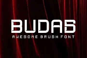 BUDAS Modern Sans Serif font