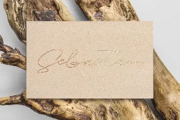 Samantha Signature Font