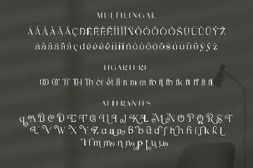 Merilia - Modern Serif Font