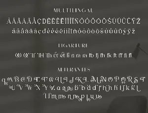 Merilia - Modern Serif Font