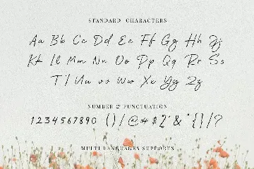 Romantica Signature font