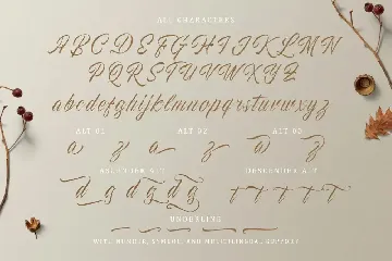 The Proactive Script font