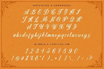 Madena Parlling - Bold Script Font