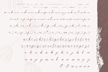 Awely Shiny - Handwritten Font