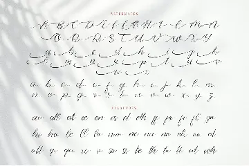 Brohillo Font Duo