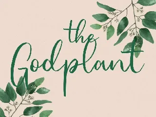 Jellylory Script Font