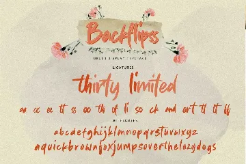 Backflipss - Brush Display Typeface font