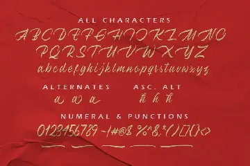 Holystone Script font