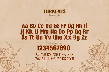 Turkeyes - Bohemian Type font