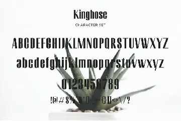 Kinghose - Modern Sans Serif font