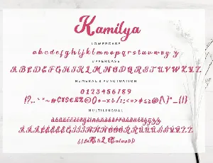 Kamilya Business Font