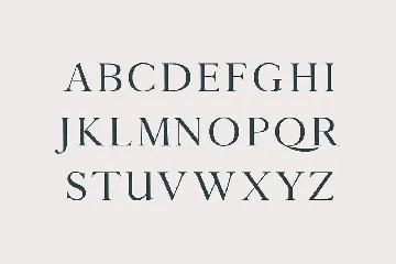 Caelan Sans Serif Font Family