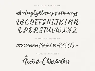 Noiseland Script Font