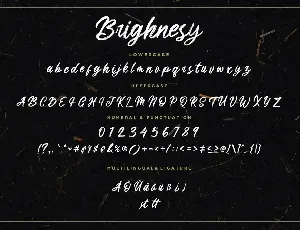 Brighnesy Hand Brush Business Font