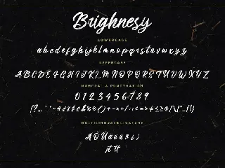 Brighnesy Hand Brush Business Font