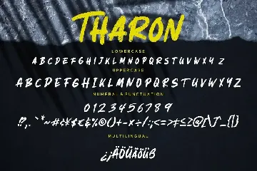 Tharon Brush Business Font