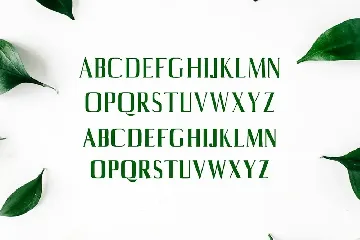 Axell Serif Font Family