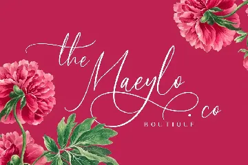 Holystails Beauty Script Font