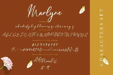 Marlyne Signature Business Font