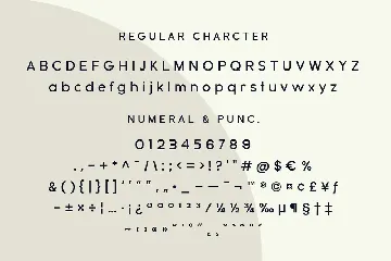 Beary Font