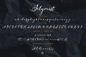 Jelymist Calligraphy Business Font