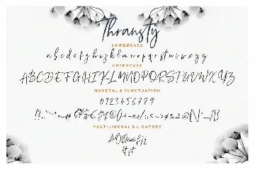 Thransty Handwritten Business Font